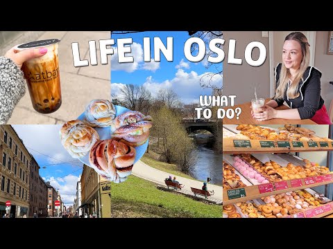 Embracing Alone Time: Best Things to Do in Oslo | Weekend in My 30s in Norway