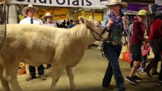 9 great things to do at the Ekka