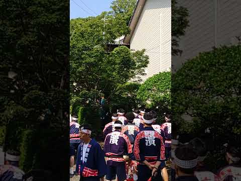 令和6年 長崎くんち 小屋入り 打ち込み 西濱町 八坂町さんへ打ち込み♫ 春海前にて♫