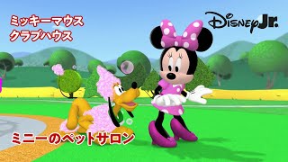 🏠ミッキーマウス クラブハウス｜ミニーのペットサロン｜@disneyjuniorjp