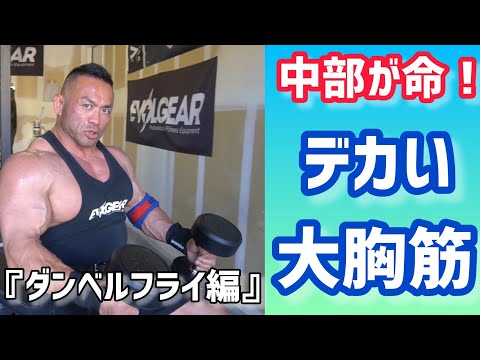 「初心者〜中級者向け」大胸筋中部2種目〜ダンベルフライ編〜 【切り抜き】Hidetada Yamagishi