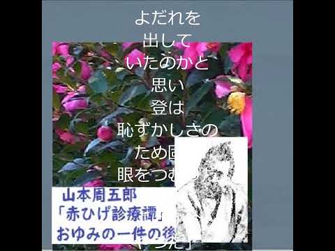 「赤ひげ、おゆみ事件後、保本に」,「赤ひげ診療譚」より,　山本周五郎作品,切抜選,【解説,朗読,】,by,D.J.イグサ,＠,イオギ,・井荻新, #shorts