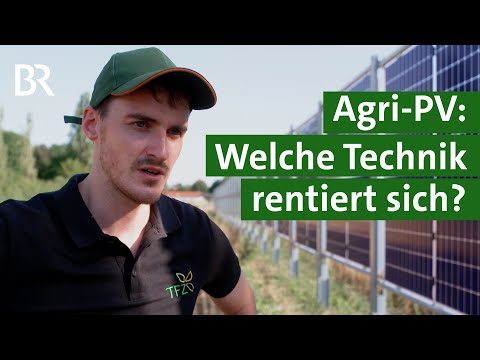 Feldversuch: Wann lohnt sich Agri-PV? | Landwirtschaft der Zukunft | Unser Land