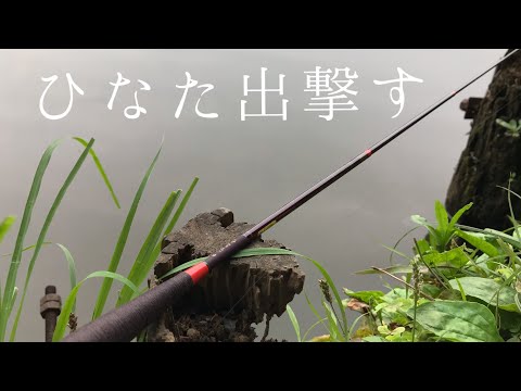 ひなた4尺で小物釣り