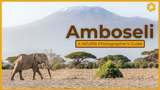 Amboseli National Park - A Wildlife Photographer's Guide.