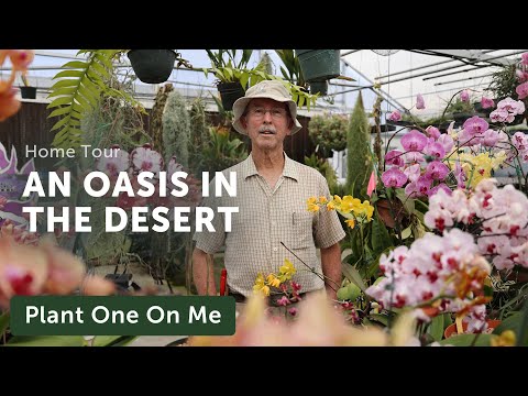 Mark Dimmitt's PLANT OASIS in the DESERT — Ep. 336