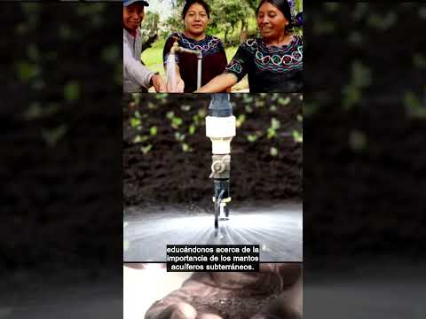 Adelante | World Water Day