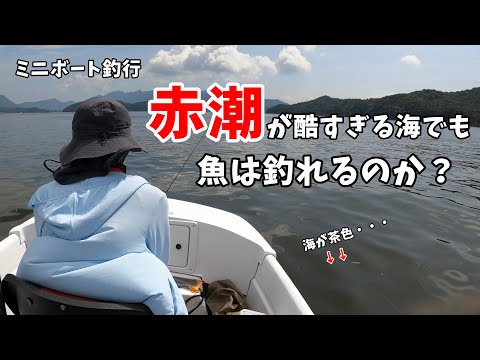 【ミニボート釣り】赤潮の海でも魚は釣れるのか？#アスボヤ33#八代海赤潮