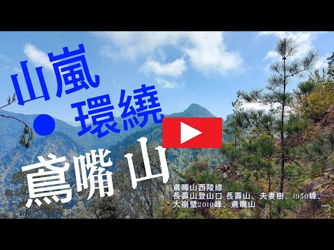 【長壽鳶嘴山】~長壽山登山口縱走鳶嘴山，鳶嘴山西陵線縱走，一條鮮為人知的路徑，您不知道的鳶嘴山登山秘徑~長壽山三角點登鳶嘴山(鳶嘴山西陵線)。