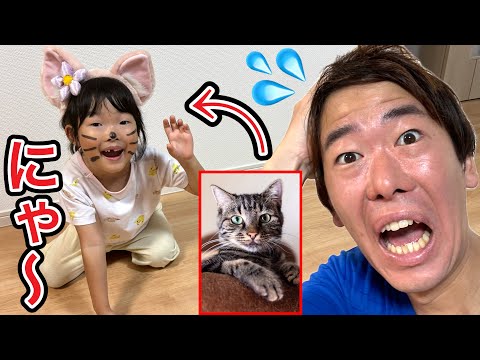 【寸劇】ここちゃんネコちゃんを飼うことになりました😅