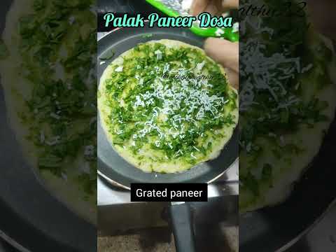 street style palak paneer dosa|palak paneer dosa|dosa recipe|#shorts #cookinghealthy22