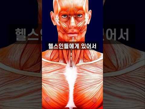 이걸 놓치면 백날 운동해도 근육 그대로입니다