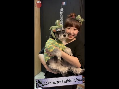 雪納瑞時尚秀 Schnauzer Fashion Show