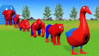 Long Slide Game With Cow Elephant Tiger Gorilla Duck Hippo - 3d Animal Game - Funny 3d Animals