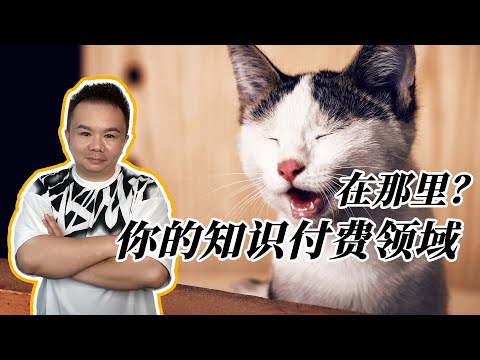 寻找属于你的知识付费领域 | 你的知识付费领域在那里？