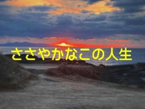 ささやかなこの人生　～エアロフォンAE-20で吹いてみた