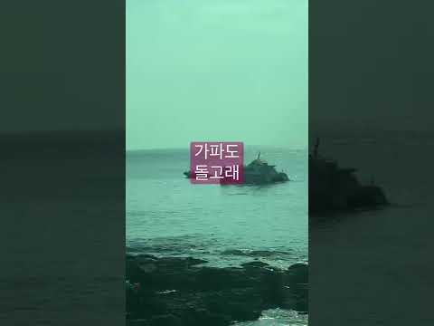 가파도 돌고래 2020 제주 #shorts