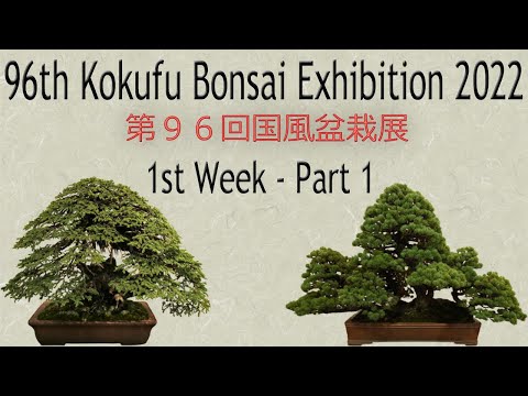 96th KOKUFU BONSAI EXHIBITION 2022 /02/8~11 1st week. 第96回国風盆栽展（前期）PART.1