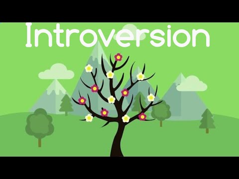 Introverts vs Extroverts! How Introverts can outperform Extroverts?