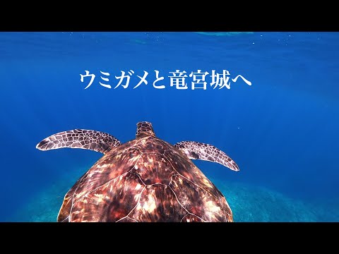 アポガマカメ竜宮城｜沖縄の穴場シュノーケリングビーチ「アポガマ」でスキンダイビング