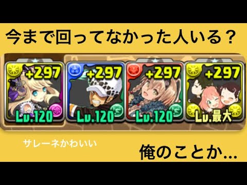 【パズドラ】狂練の洞窟 2枚抜き 2パターン ダンボ４～