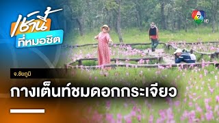 กางเต็นท์ เที่ยวผา ตื่นตาที่อุทยานแห่งชาติไทรทอง จ.ชัยภูมิ