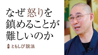 大愚和尚の"怒りの感情"コントロール術