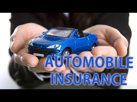 Automobile Insurance Reform