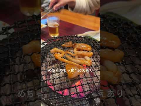 浅草昼飲みVLOG■老舗町焼肉本とさや〜ホッピー通り飲み歩き