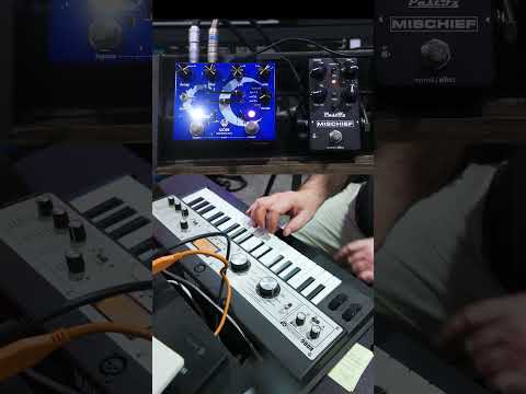 Microkorg XL with Walrus Sloer & PastFx Mischief 2