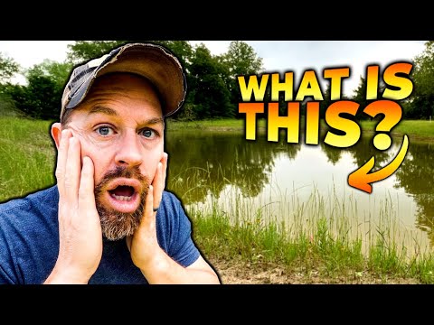 Creepy Secrets Unveiled in my Homestead Fishing Pond 😱