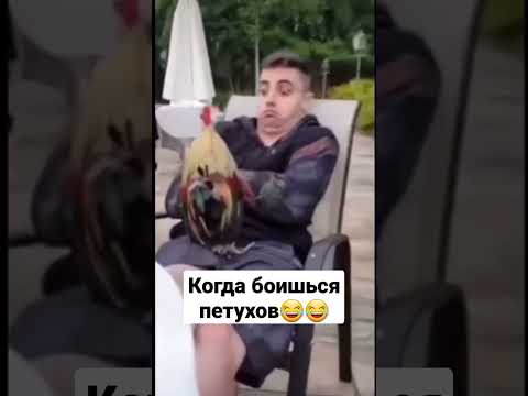 Когда боишься петухов😂😂😂