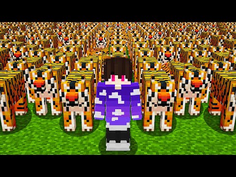 COMO CRIEI UM EXÉRCITO DE TIGRES NO MINECRAFT - Minecraft Odisseia