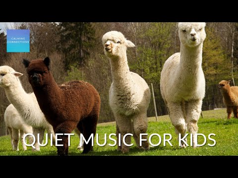 Quiet Music For Kids In The Classroom - Alpaca 🦙 - Relaxing music for classroom work, study music