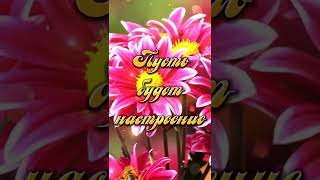 С Добрым Утром! 💐☕ Хорошего Дня! 🌸 Воскресенье 6 ноября! Красивая Музыкальная Видео Открытка