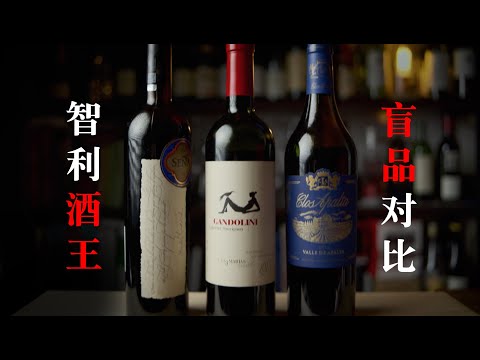 【诗洋品酒生活】盲品测评智利大酒  智利酒到底什么水平？Chilean premium wines blind tasted.