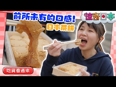 今までにない食感！日本のわらび餅に感動する台湾娘【ビックリ日本】