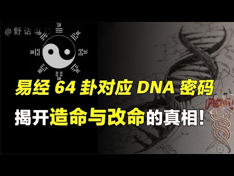 易经64卦对应人体DNA遗传密码，基因的诅咒揭开命运的真相！【野话老故事】