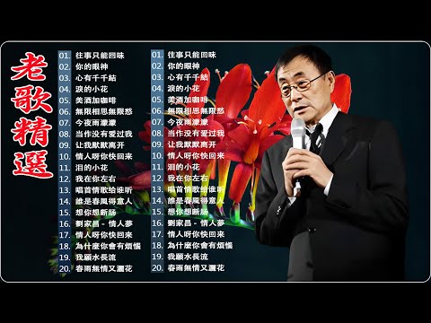 老歌精選 || 90后喜欢的经典老歌 💥 70、80年代经典老歌尽在经典老歌500首⭐ 鄧麗君, 尤雅, 姚蘇蓉, 青山, 凤飞飞, 谭顺成,  劉家昌, 陳芬蘭, 杨小萍 💕