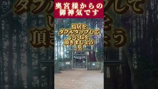 【10秒参拝】神の気を感じ、浄化の波動をお受け取りください。#浄化