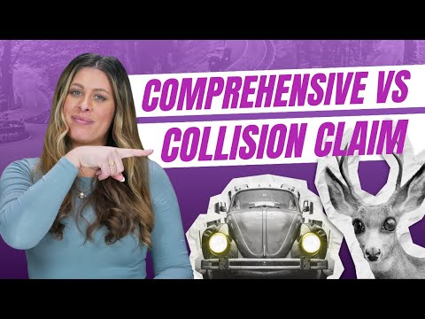 Hitting an Animal: Is It a Comprehensive or Collision Claim?