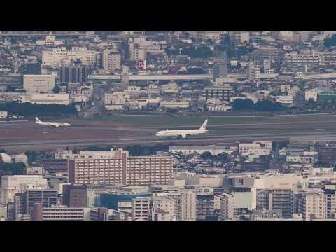 珍客👻Boeing777-300ER JA733J🔶Japan Airlines 🔶伊丹空港にやって来た