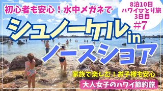 ノースショアのシュノーケルガイド🐟 2024ハワイ🌈初心者も安心😊家族でもひとりでも楽しめる🌺