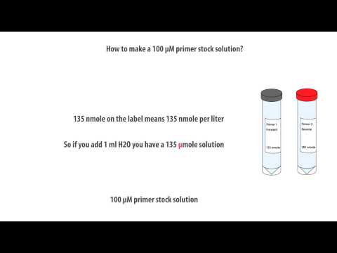 How to make a primer 100 µM stock solution - Simple Calculation