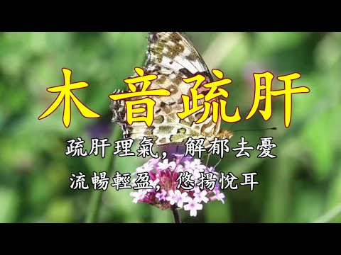 五音療疾丨木音疏肝丨流暢輕盈，悠揚悅耳，疏肝鬱理肝氣解肝怒！