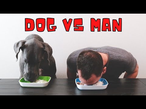 Man vs Great Dane: Food Eating Contest!