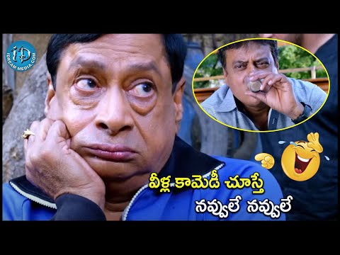 వీళ్ల కామెడీ చూస్తే నవ్వులే | MS Narayana, Prudhvi Raj Comedy Scenes | @iDreamCelebrityMasti