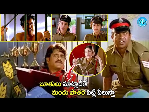 Aavida Maa Avida Movie Nagarjuna Tabu Brahmanandam Police Station Comedy | @iDreamCelebrityMasti