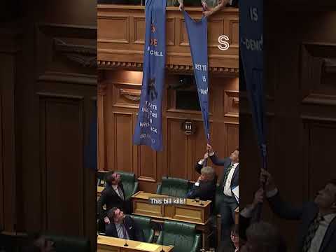 Protest in NZ Parliament as Fast Track Bill passes into law | Stuff.co.nz