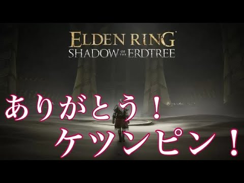 #17 エルデンリングDLC〜ラスボス戦～